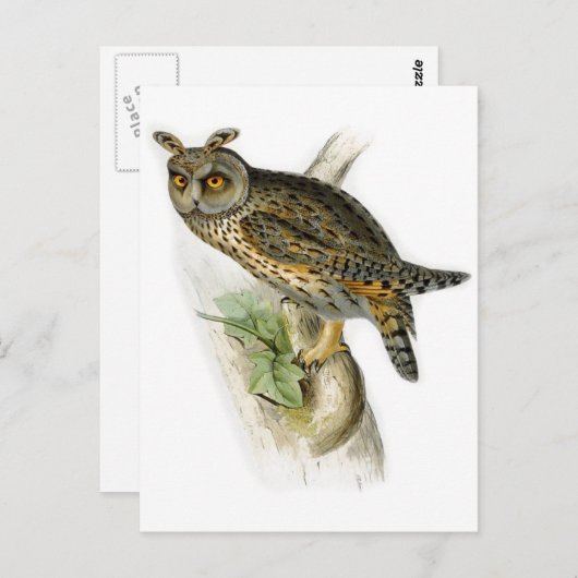 Vintager Ouu Postkarte (Vorne/Hinten)