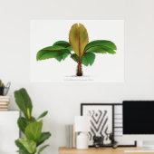 Vintager Palmenprint der Seychellen Poster (Heimbüro)