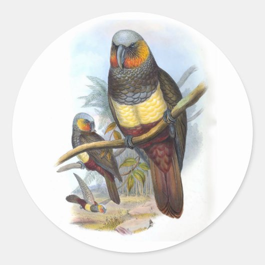 Vintager Papagei Bird PE_GC - Aufkleber (Vorderseite)