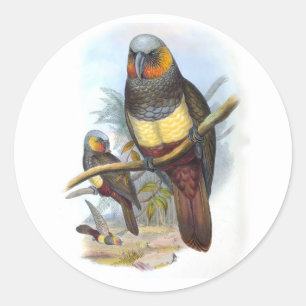 Vintager Papagei Bird PE_GC - Aufkleber