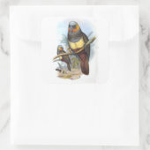 Vintager Papagei Bird PE_GC - Aufkleber (Tasche)