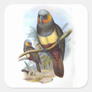 Vintager Papagei Bird PE_GC - Aufkleber
