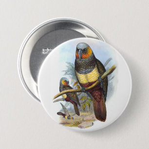 Vintager Papagei Bird PE_GC - Round-Button Button
