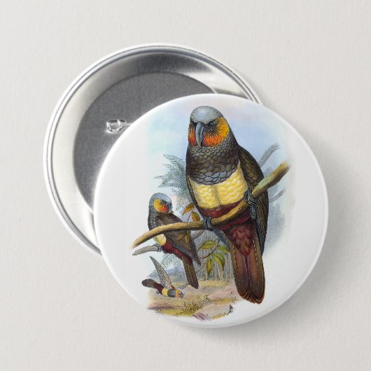 Vintager Papagei Bird PE_GC - Round-Button Button (Vorne & Hinten)