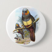 Vintager Papagei Bird PE_GC - Round-Button Button (Vorderseite)