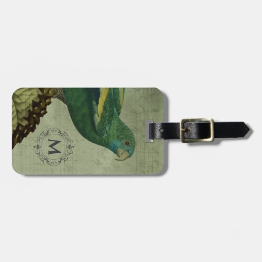 Vintager Papagei Gepäckanhänger (Vorderseite horizontal)