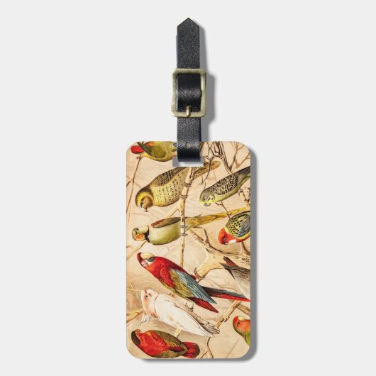 Vintager PapageiCockatoo Conure ParakeetCockatiel Gepäckanhänger (Vorderseite vertikal)