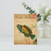 Vintager Papageienfisch Postkarte (Stehend Vorderseite)