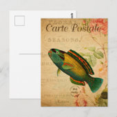 Vintager Papageienfisch Postkarte (Vorne/Hinten)