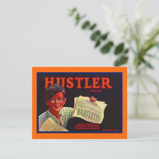 Vintager Paperboy Hustler CA Obstkiste Postkarten (Stehend Vorderseite)