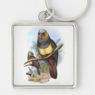 Vintager Parrot Bird PE_GC Premium Square Schlüsse Schlüsselanhänger