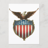 Vintager Patriotismus, Stolzer Adler über amerikan Postkarte (Vorderseite)