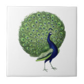 Vintager Peacock-offener Lüfter Fliese (Vorderseite)