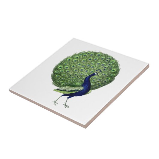Vintager Peacock-offener Lüfter Fliese (Seite)