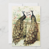 Vintager Peacocks Bridal Tee Einladung (Vorderseite)
