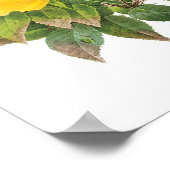 Vintager Perser Gelber Rosentee Rose von Redoute Poster (Ecke)