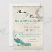 Vintager Pfau 5 - Save the Date (Rückseite)