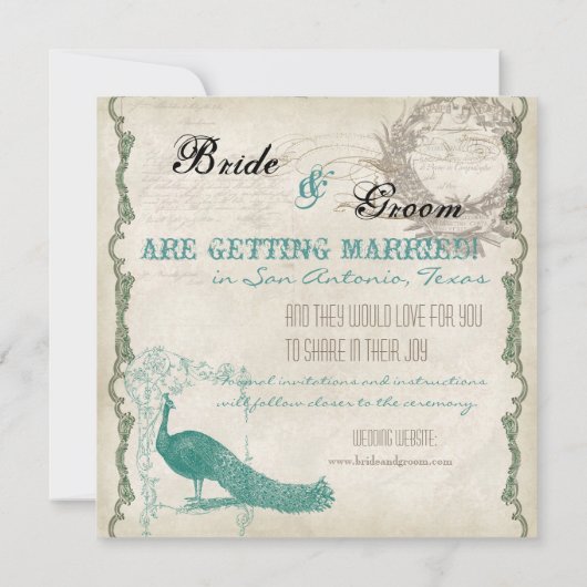 Vintager Pfau 5 - Save the Date (Rückseite)