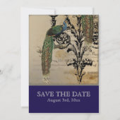 Vintager Pfau 6 - Save the Date (Rückseite)
