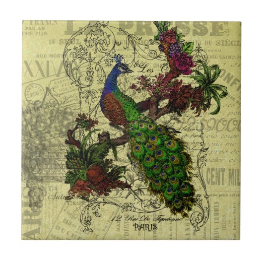 Vintager Pfau auf Niederlassungs-Kleid und Fliese (Vorderseite)