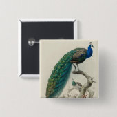 Vintager Pfau Button (Vorne & Hinten)