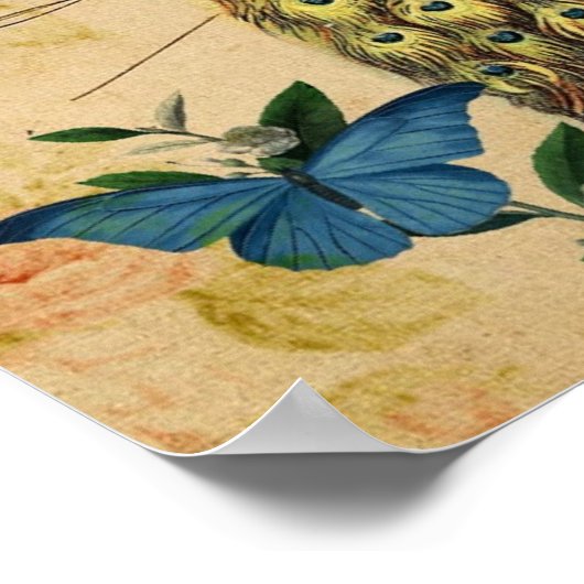 Vintager Pfau der französischen Kamelie Poster (Ecke)