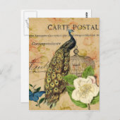 Vintager Pfau der französischen Kamelie Postkarte (Vorne/Hinten)