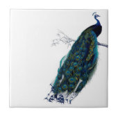 Vintager Pfau Fliese (Vorderseite)