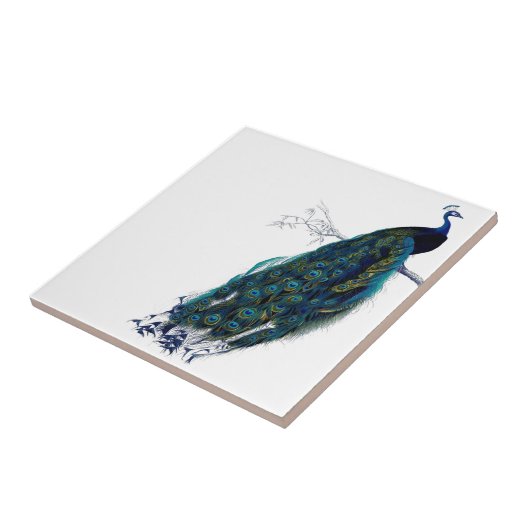 Vintager Pfau Fliese (Seite)