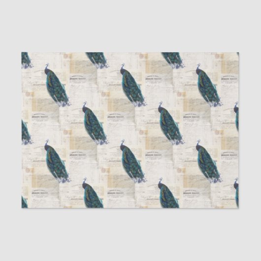 Vintager Pfau-französisches Seidenpapier (Vorderseite)