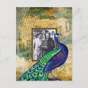 Vintager Pfau in Paris Postkarte