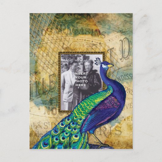 Vintager Pfau in Paris Postkarte (Vorderseite)
