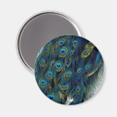 Vintager Pfau Magnet (Vorderseite/Rückseite)