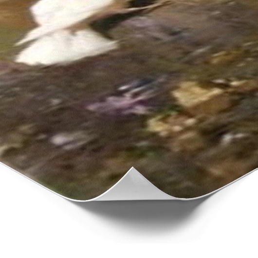 Vintager Pfau Poster (Ecke)