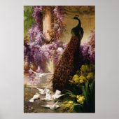 Vintager Pfau Poster (Vorne)