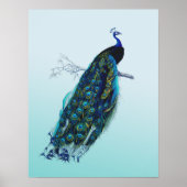 Vintager Pfau Poster (Vorne)