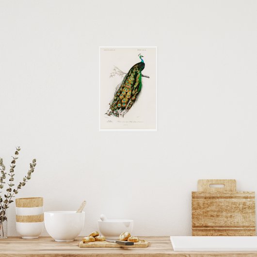 VINTAGER PFAU POSTER (Küche)