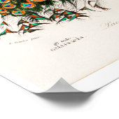 VINTAGER PFAU POSTER (Ecke)