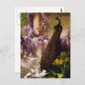 Vintager Pfau Postkarte (Vorne/Hinten)