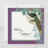 Vintager Pfau, Radierungen der Feder-n - Einladung (Rückseite)