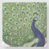 Vintager Pfau Steinuntersetzer (Vorderseite)