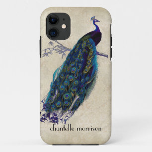 Vintager Pfau-volle Federn auf Tattered Spitze Case-Mate iPhone Hülle
