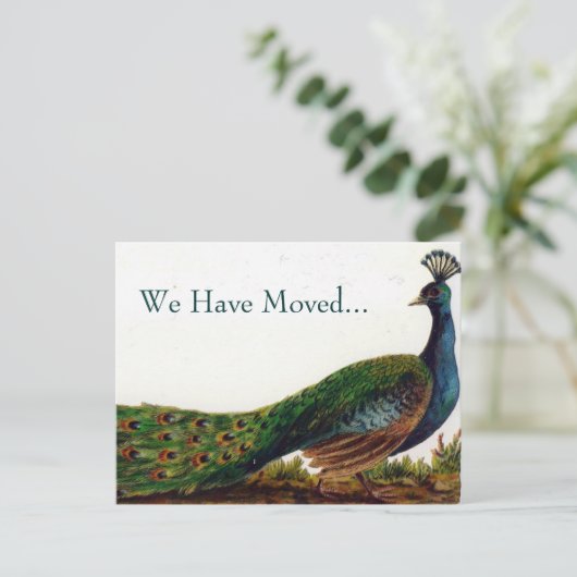 Vintager Pfauenwechsel bei Postkarten (Stehend Vorderseite)