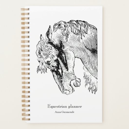 Vintager Pferdereiterfolg Planer (Vorderseite)