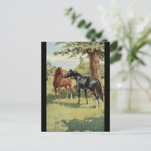 Vintager Pferdestutestallions-Reiter Postkarte (Stehend Vorderseite)