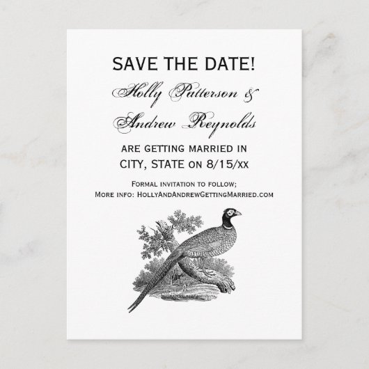 Vintager Pheasant Game Bird Zeichne BW Ankündigungspostkarte (Vorderseite)
