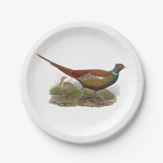Vintager Pheasant Game Bird Zeichne Farbe Pappteller (Vorderseite)