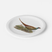 Vintager Pheasant Game Bird Zeichne Farbe Pappteller (Schrägansicht)