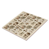 Vintager Pilz-Botanische Drucktrivet Fliese (Seite)