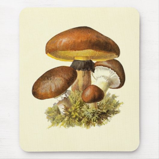 Vintager Pilz Browns Mousepad (Vorne)
